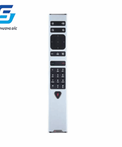 Remote Polycom Group
