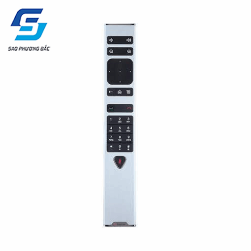 Remote Polycom Group