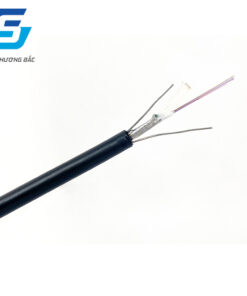 Cáp quang 12FO Multimode OM3