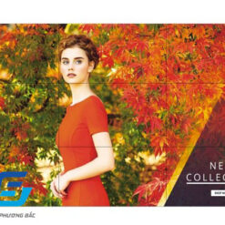 MÀN HÌNH GHÉP LG 55VH7E-A 55 INCH